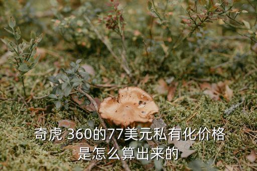  奇虎 360的77美元私有化價格是怎么算出來的