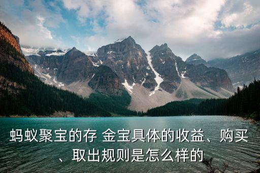 螞蟻聚寶的存 金寶具體的收益、購買、取出規(guī)則是怎么樣的