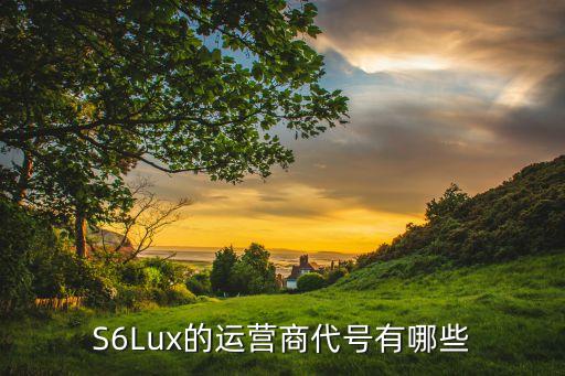 S6Lux的運(yùn)營(yíng)商代號(hào)有哪些