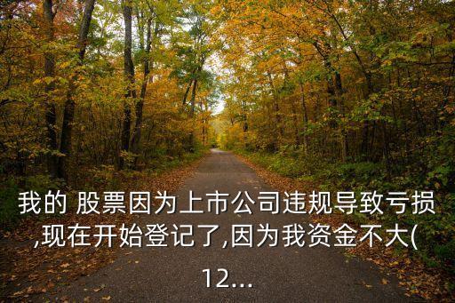 我的 股票因?yàn)樯鲜泄具`規(guī)導(dǎo)致虧損,現(xiàn)在開(kāi)始登記了,因?yàn)槲屹Y金不大(12...