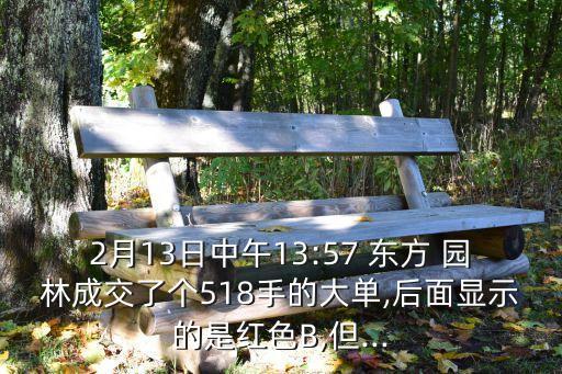 2月13日中午13:57 東方 園林成交了個518手的大單,后面顯示的是紅色B,但...