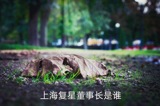  上海復(fù)星董事長(zhǎng)是誰