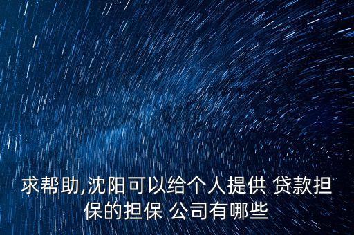 求幫助,沈陽可以給個人提供 貸款擔保的擔保 公司有哪些