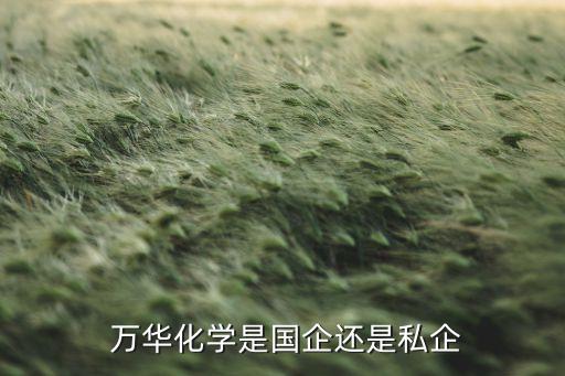  萬華化學(xué)是國企還是私企