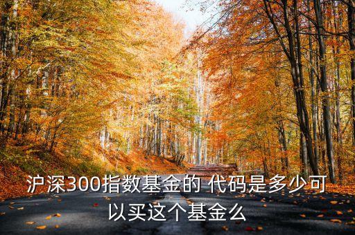 滬深300指數(shù)基金的 代碼是多少可以買(mǎi)這個(gè)基金么