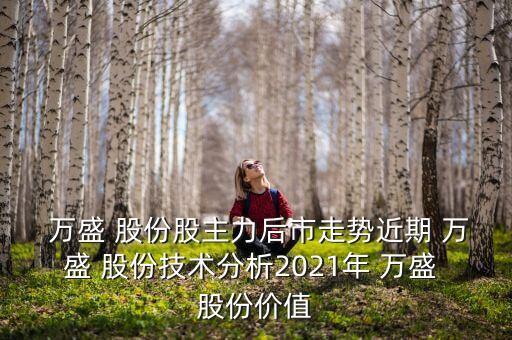  萬盛 股份股主力后市走勢近期 萬盛 股份技術(shù)分析2021年 萬盛 股份價(jià)值