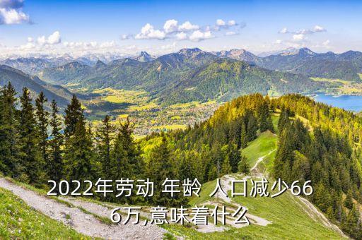 2022年勞動 年齡 人口減少666萬,意味著什么