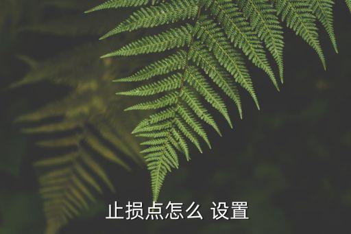  止損點(diǎn)怎么 設(shè)置