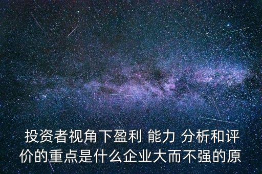  投資者視角下盈利 能力 分析和評價的重點是什么企業(yè)大而不強的原