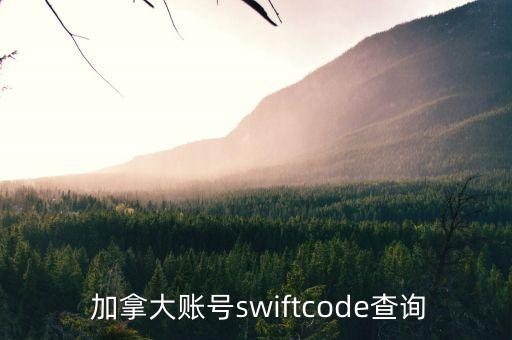  加拿大賬號(hào)swiftcode查詢