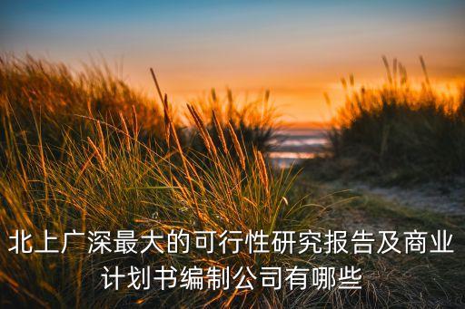 北上廣深最大的可行性研究報告及商業(yè)計劃書編制公司有哪些