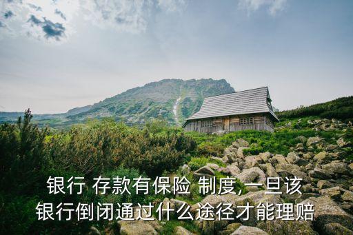  銀行 存款有保險 制度,一旦該 銀行倒閉通過什么途徑才能理賠