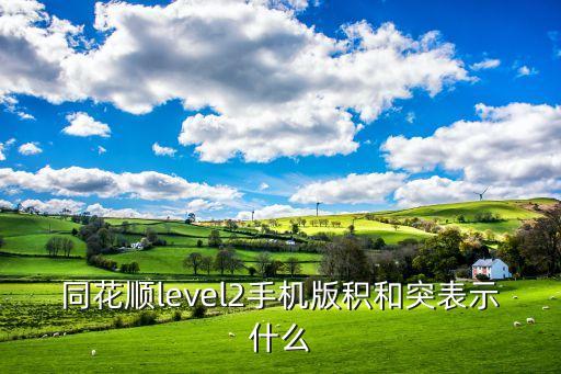 同花順level2手機版積和突表示什么