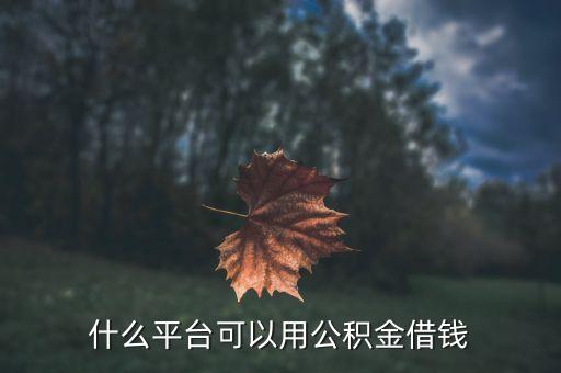 什么平臺(tái)可以用公積金借錢(qián)