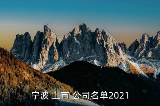 寧波 上市 公司名單2021