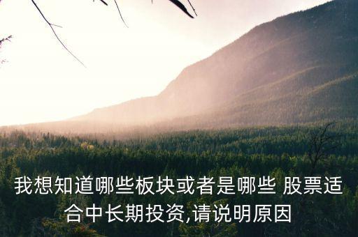 我想知道哪些板塊或者是哪些 股票適合中長(zhǎng)期投資,請(qǐng)說明原因