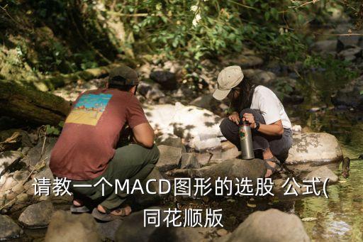 請教一個MACD圖形的選股 公式( 同花順版