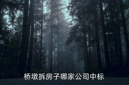 橋墩拆房子哪家公司中標(biāo)