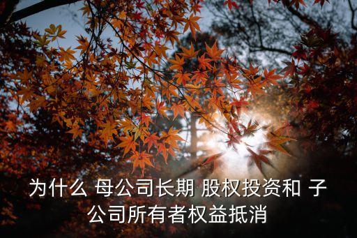 為什么 母公司長(zhǎng)期 股權(quán)投資和 子公司所有者權(quán)益抵消