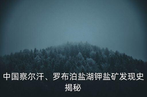 中國(guó)最大的鉀礦,中國(guó)鉀礦資源