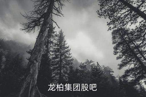 龍柏集團股吧