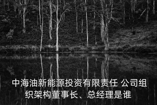  中海油新能源投資有限責(zé)任 公司組織架構(gòu)董事長、總經(jīng)理是誰