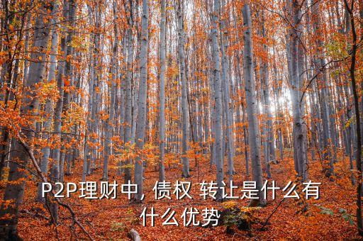 P2P理財中, 債權(quán) 轉(zhuǎn)讓是什么有什么優(yōu)勢