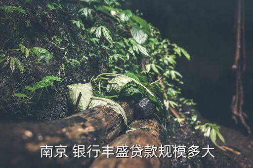  南京 銀行豐盛貸款規(guī)模多大