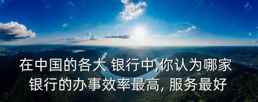 在中國的各大 銀行中,你認為哪家 銀行的辦事效率最高, 服務(wù)最好