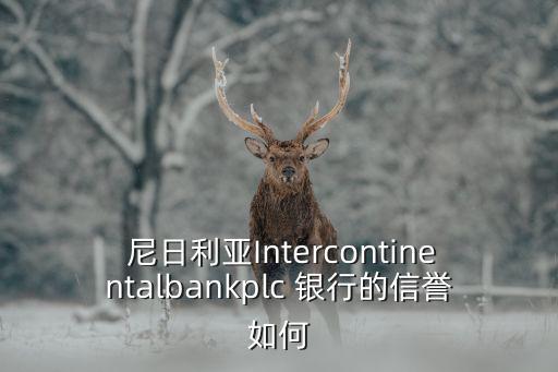  尼日利亞Intercontinentalbankplc 銀行的信譽如何