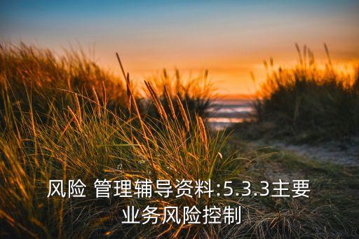 風(fēng)險(xiǎn) 管理輔導(dǎo)資料:5.3.3主要 業(yè)務(wù)風(fēng)險(xiǎn)控制