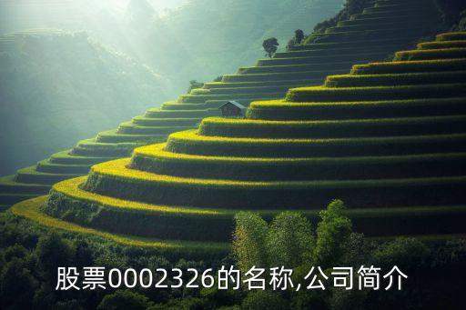 股票0002326的名稱(chēng),公司簡(jiǎn)介