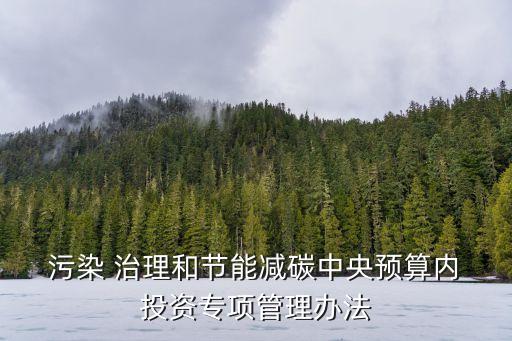  污染 治理和節(jié)能減碳中央預算內(nèi) 投資專項管理辦法