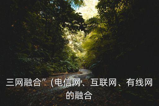 三網(wǎng)融合”(電信網(wǎng)、互聯(lián)網(wǎng)、有線網(wǎng)的融合