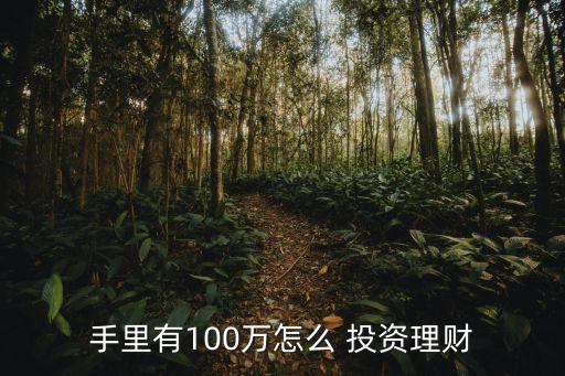 手里有100萬(wàn)怎么 投資理財(cái)