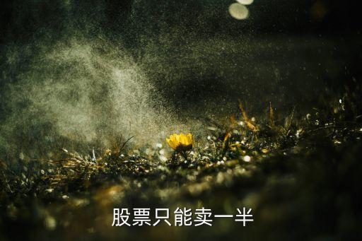 部分成交的股票可以賣(mài)么