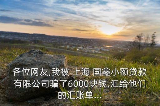 各位網(wǎng)友,我被 上海 國(guó)鑫小額貸款有限公司騙了6000塊錢(qián),匯給他們的匯賬單...