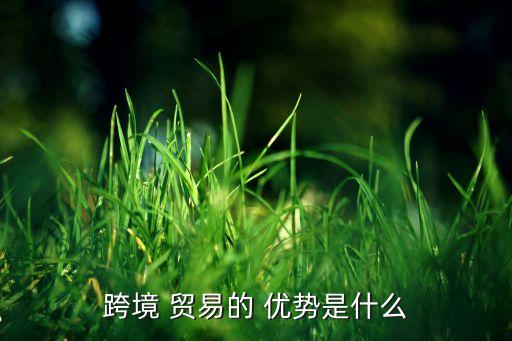 跨境 貿(mào)易的 優(yōu)勢(shì)是什么