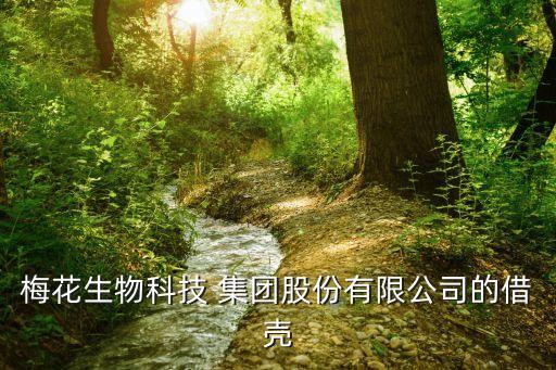 梅花生物科技 集團(tuán)股份有限公司的借殼