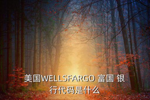 美國WELLSFARGO 富國 銀行代碼是什么