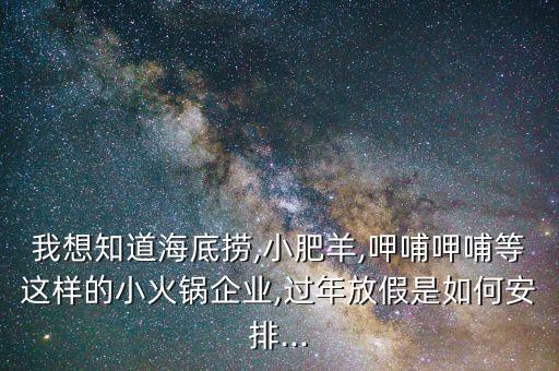 我想知道海底撈,小肥羊,呷哺呷哺等這樣的小火鍋企業(yè),過(guò)年放假是如何安排...