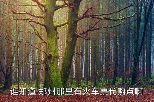 鄭州中一工貿(mào)有限公司,鄭州廣賢工貿(mào)有限公司新豐煤礦