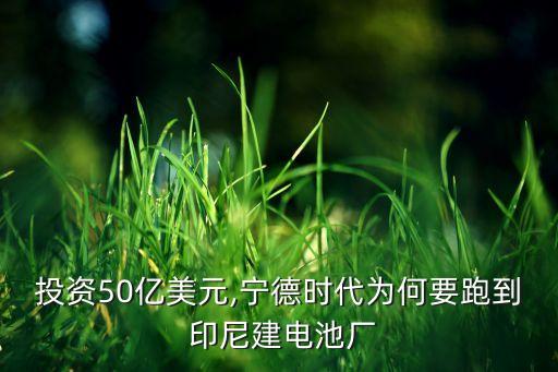 投資50億美元,寧德時代為何要跑到 印尼建電池廠