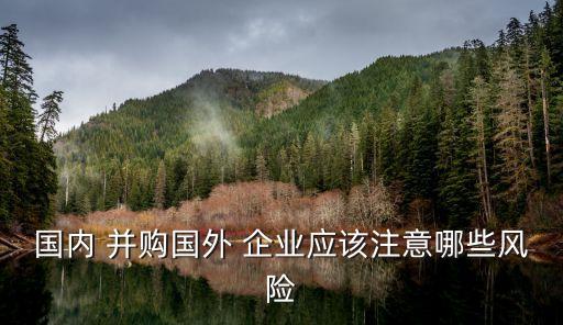 中國(guó)企業(yè)并購(gòu)海外企業(yè),企業(yè)并購(gòu)海外企業(yè)如何化解營(yíng)銷(xiāo)環(huán)境帶來(lái)的影響