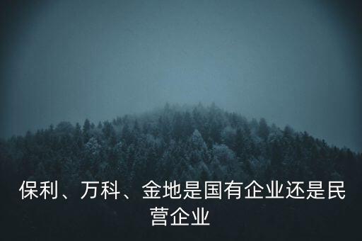  保利、萬(wàn)科、金地是國(guó)有企業(yè)還是民營(yíng)企業(yè)