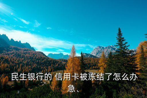  民生銀行的 信用卡被凍結(jié)了怎么辦急、