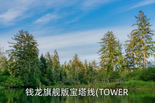 股票中的tower指標,Tower半導體股票