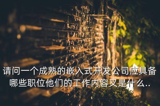 請(qǐng)問(wèn)一個(gè)成熟的嵌入式開發(fā)公司應(yīng)具備哪些職位他們的工作內(nèi)容又是什么...