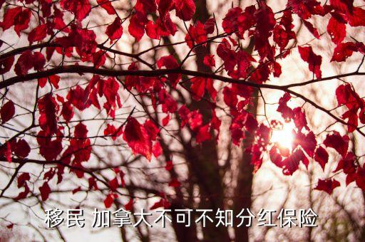 移民 加拿大不可不知分紅保險