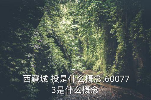  西藏城 投是什么概念,600773是什么概念